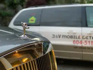 picture showing mobile detailing service