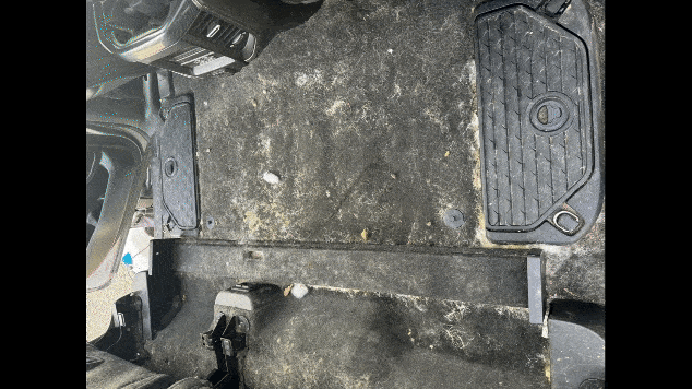 car Mold Removal Port Coquitlam. Truck Detailing Port Coquitlam, Mobile Detailing Port Coquitlam, pet hair removal from cars , Auto detailing Port Coquitlam