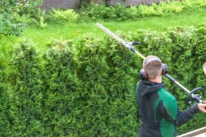 Hedge trimming, works in a garden. Professional gardener with a professional garden tools at work. touchless car wash near me, car mold cleanup near me,